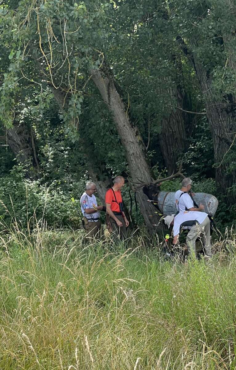 3D à St Sardos les 6 et 7 septembre