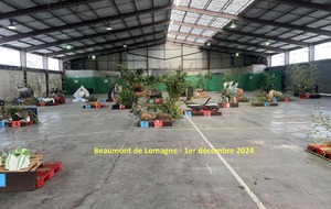 Découverte 3D Para-archerie et 3D indoor à Beaumont de Lomagne