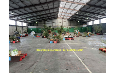 Découverte 3D Para-archerie et 3D indoor à Beaumont de Lomagne